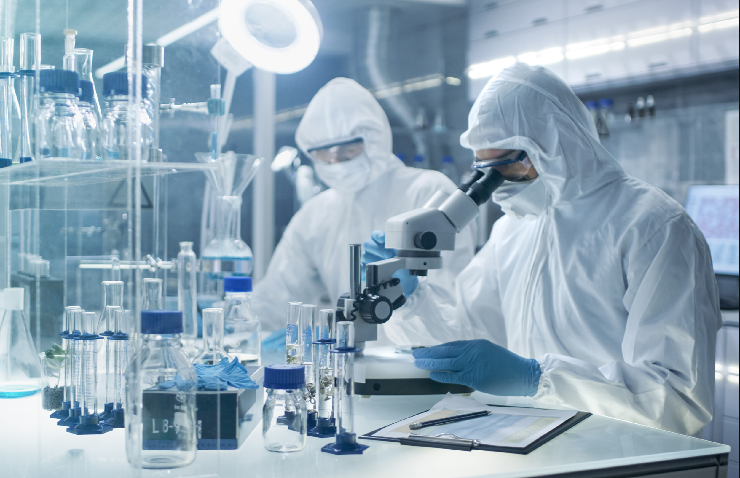 【实验对接与验证支持】